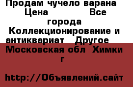 Продам чучело варана. › Цена ­ 15 000 - Все города Коллекционирование и антиквариат » Другое   . Московская обл.,Химки г.